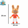 Rascal (2) Rascal the orange monkey plush in an orange jacket